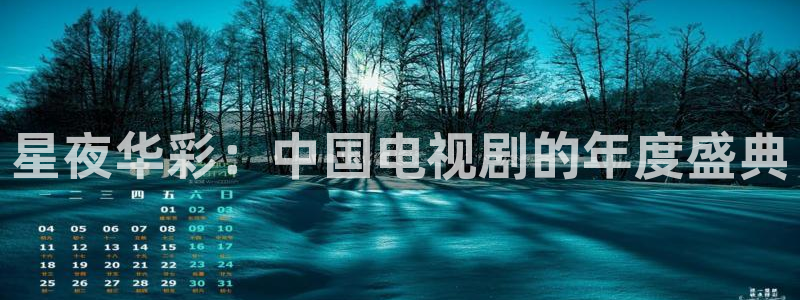 草莓视频在线观看全集：星夜华彩：中国电视剧的年度盛典