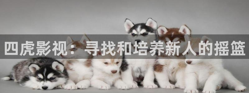 草莓视频官网免费下载：四虎影视：寻找和培养新人的摇篮