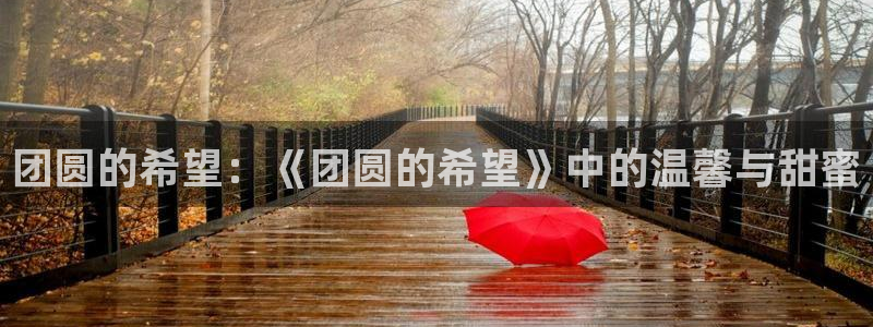 草莓视频跳转：团圆的希望：《团圆的希望》中的温馨与甜蜜
