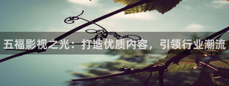 草莓视频视频直播：五福影视之光：打造优质内容，引领行业潮流